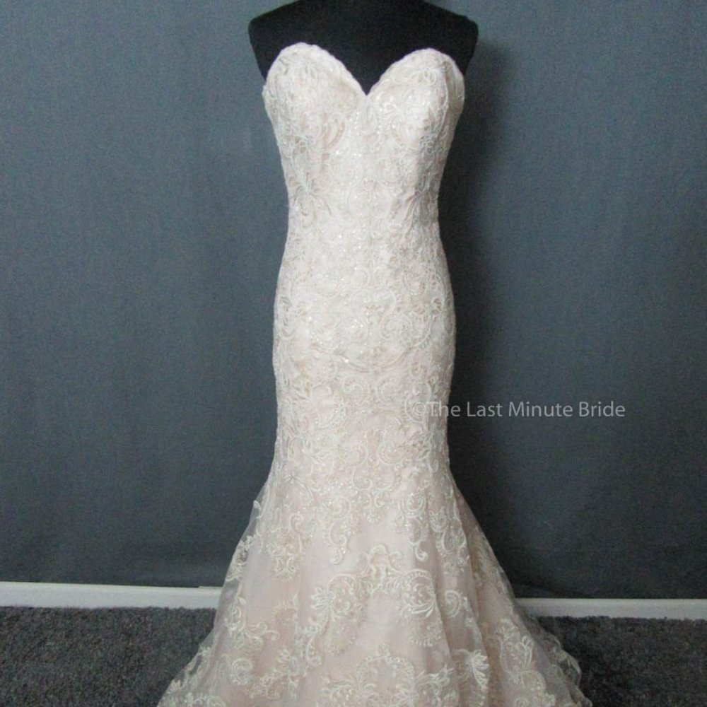 Madison James style MJ361